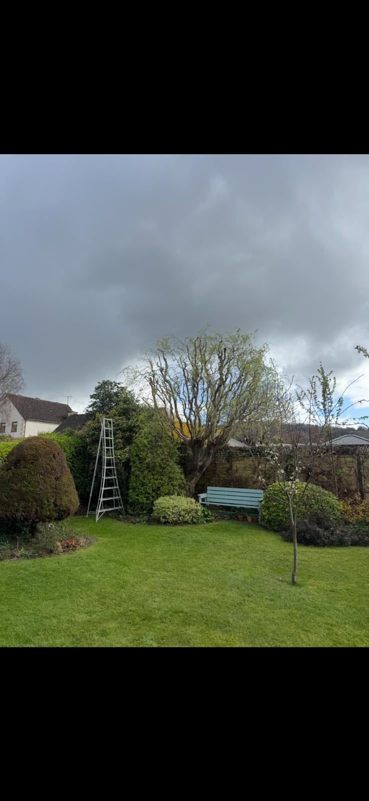 After crown reduction