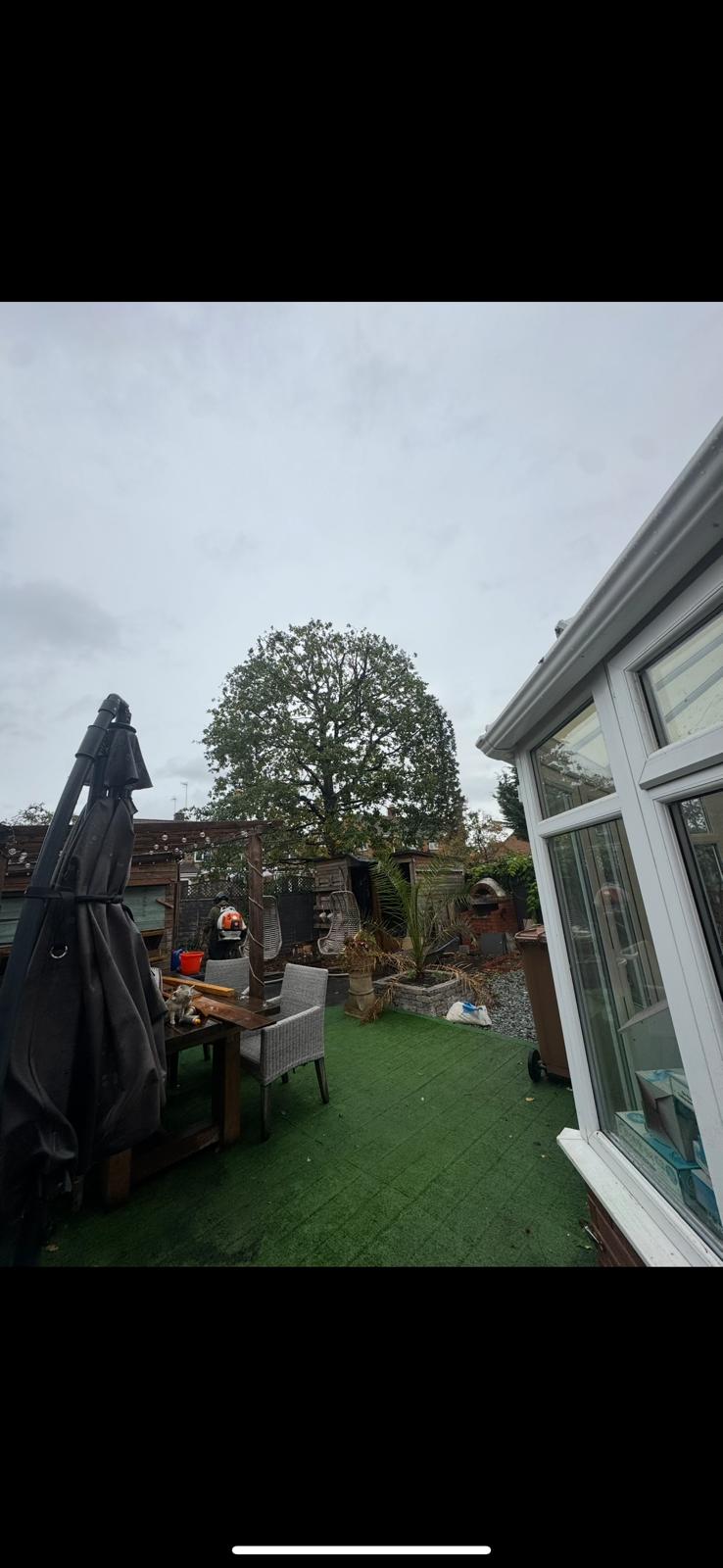 Before crown reduction