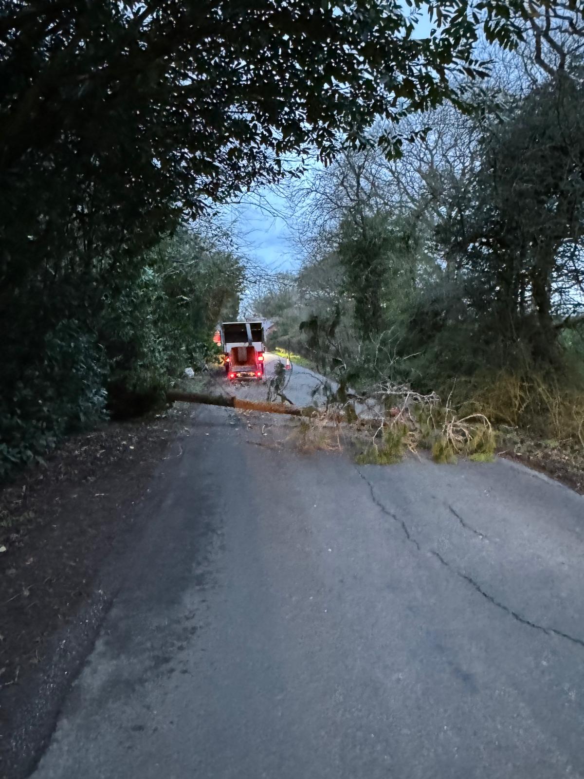 Tree fallen across road blocking traffic