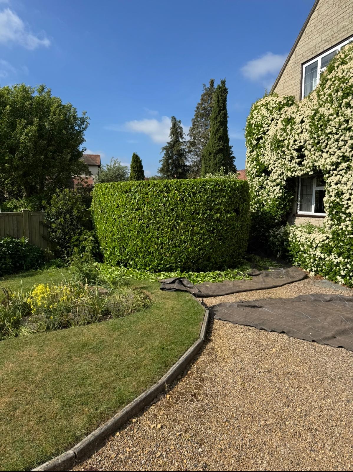 Hedge work