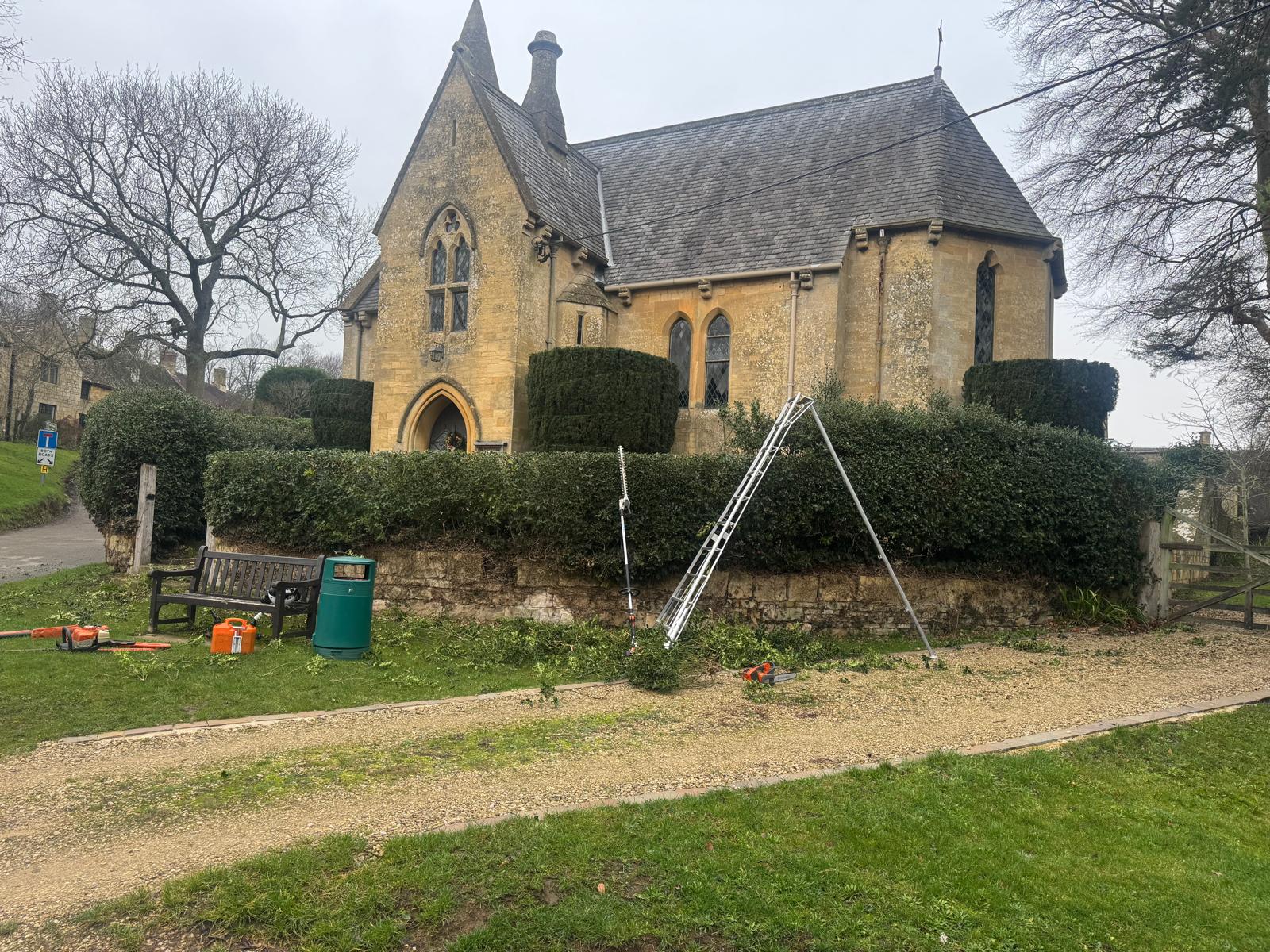 Before hedge reduction