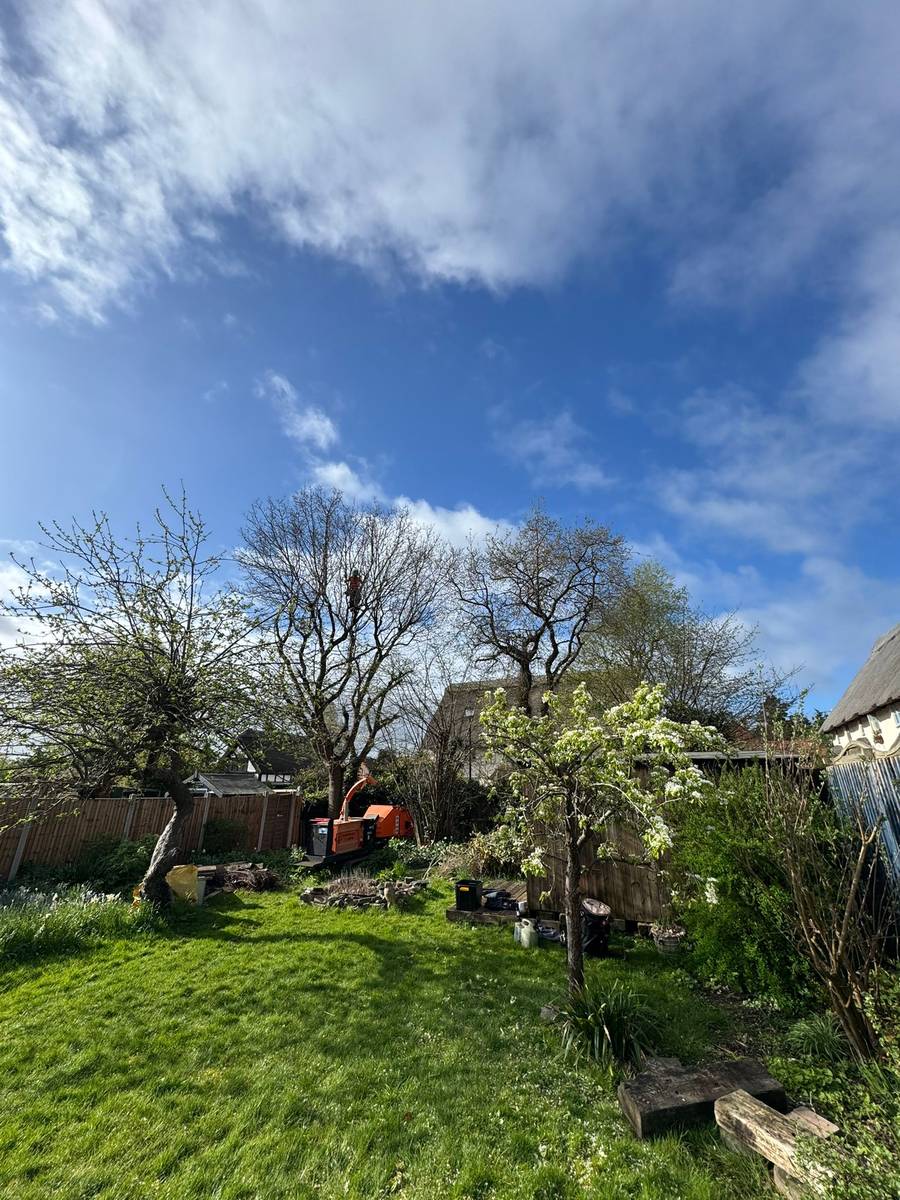 Jack at work in a spring garden