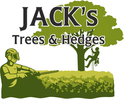 Jack's Trees & Hedges