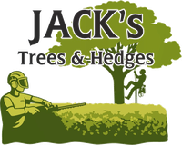 Jack's Trees & Hedges — Tree Surgeon Evesham