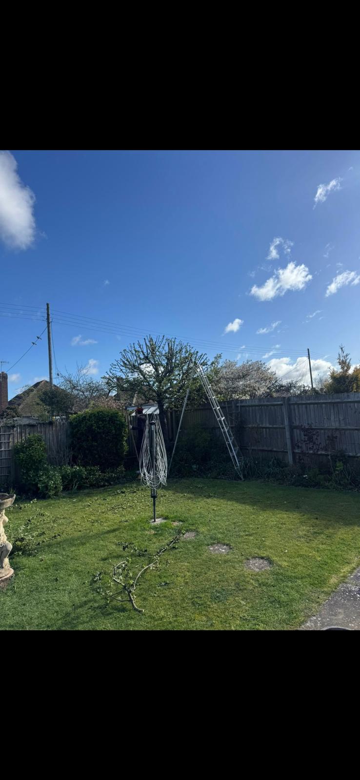 After pruning — clean structure