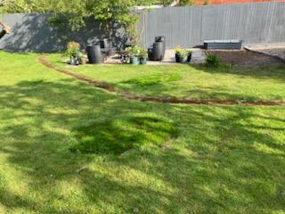 Lawn restored after stump grinding