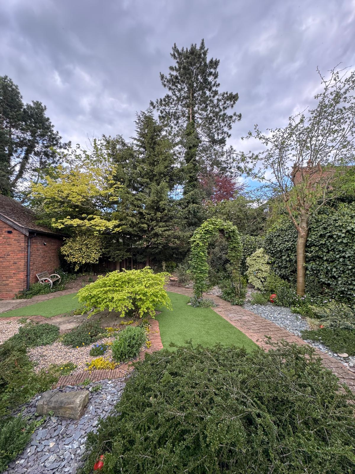 Garden after tree removal — dead tree gone
