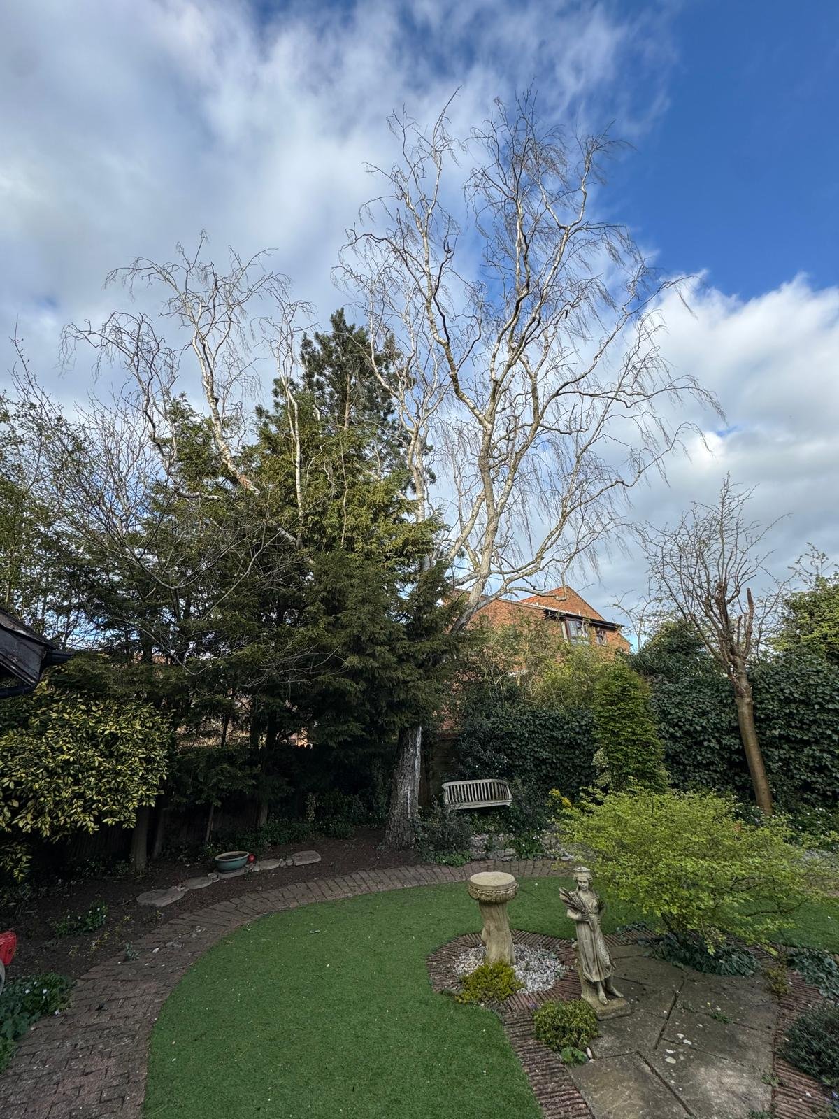Garden with large dead tree before removal